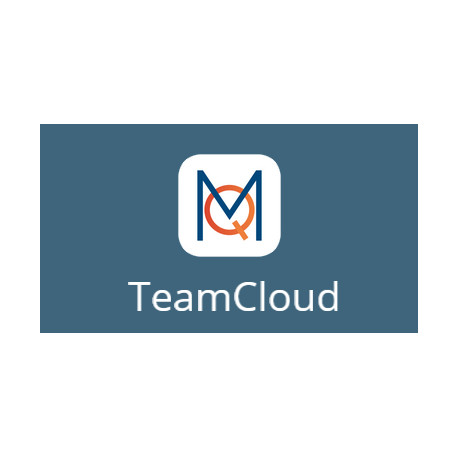 MAXQDA teamcloud