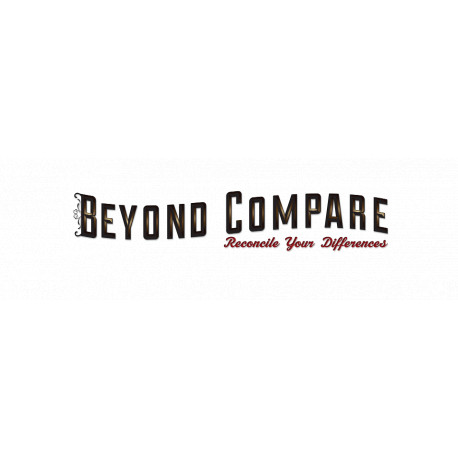 Beyond Compare 4 Pro Edition